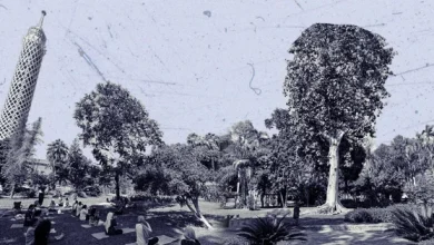 Al-Zahria Heritage Park
