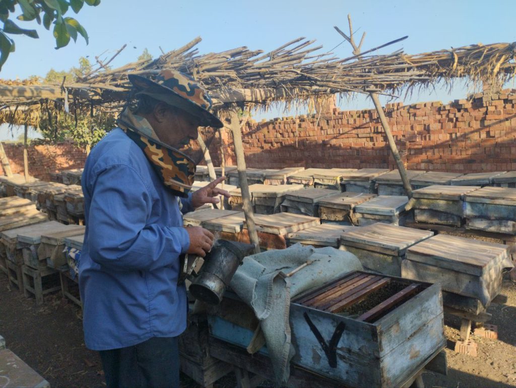 Beekeepers in the village