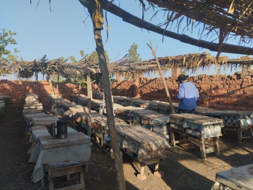 Beekeepers in the village of Hasa Shabshir