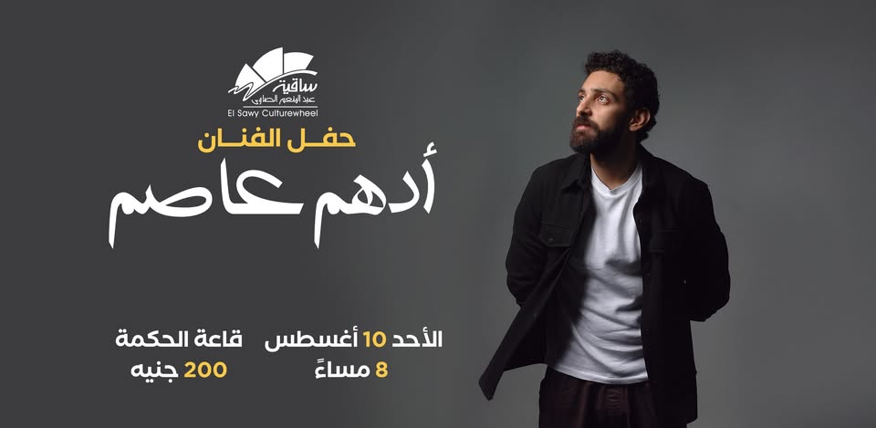 Concert by artist Adham Assem