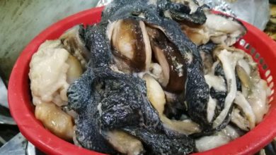 Seafood platter