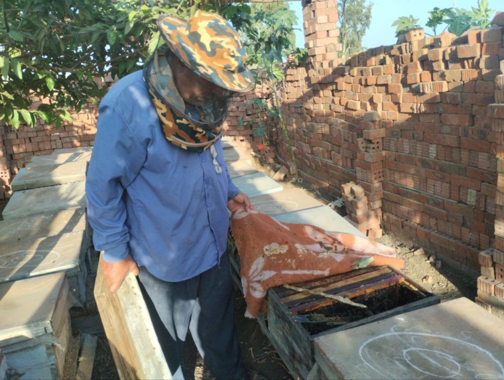 a honey farmer in the village of Hessa Shabshir