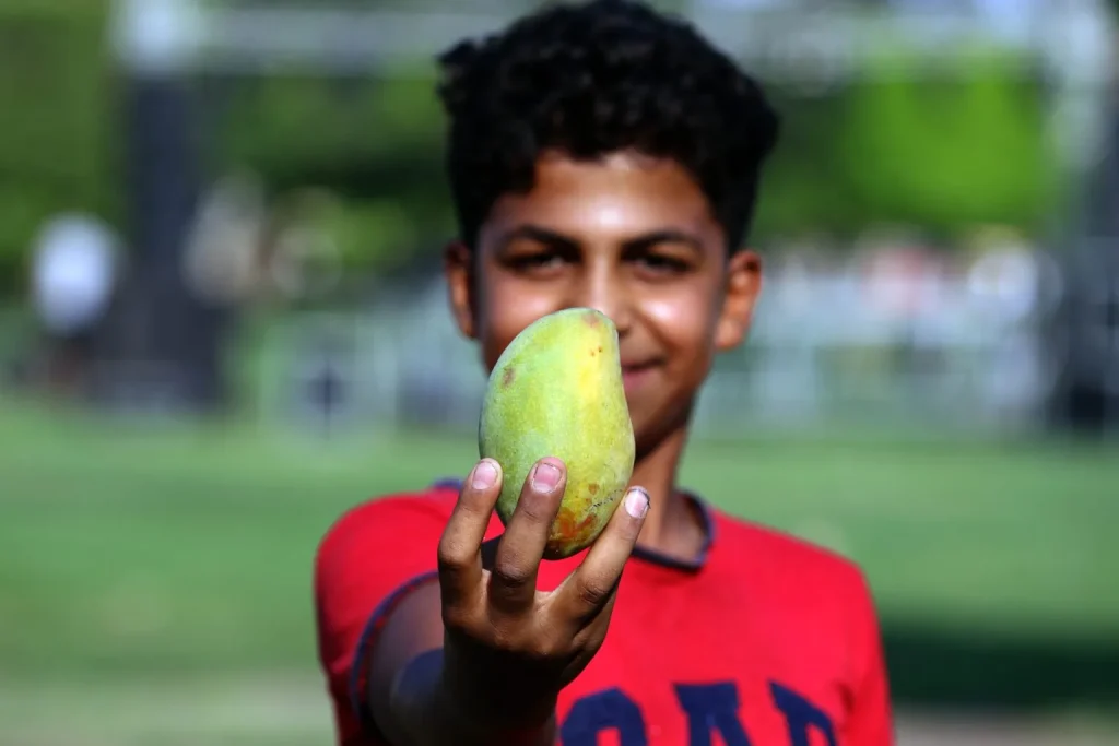 A young man holding a mango at the Ismailia Mango Festival. Photo Mohamed Awad
