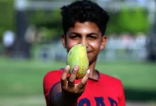 A young man holding a mango at the Ismailia Mango Festival. Photo Mohamed Awad