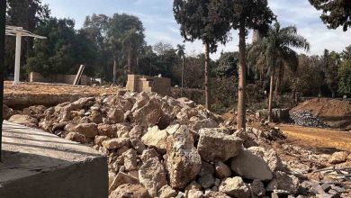 Concrete works inside Masala Park in Zamalek