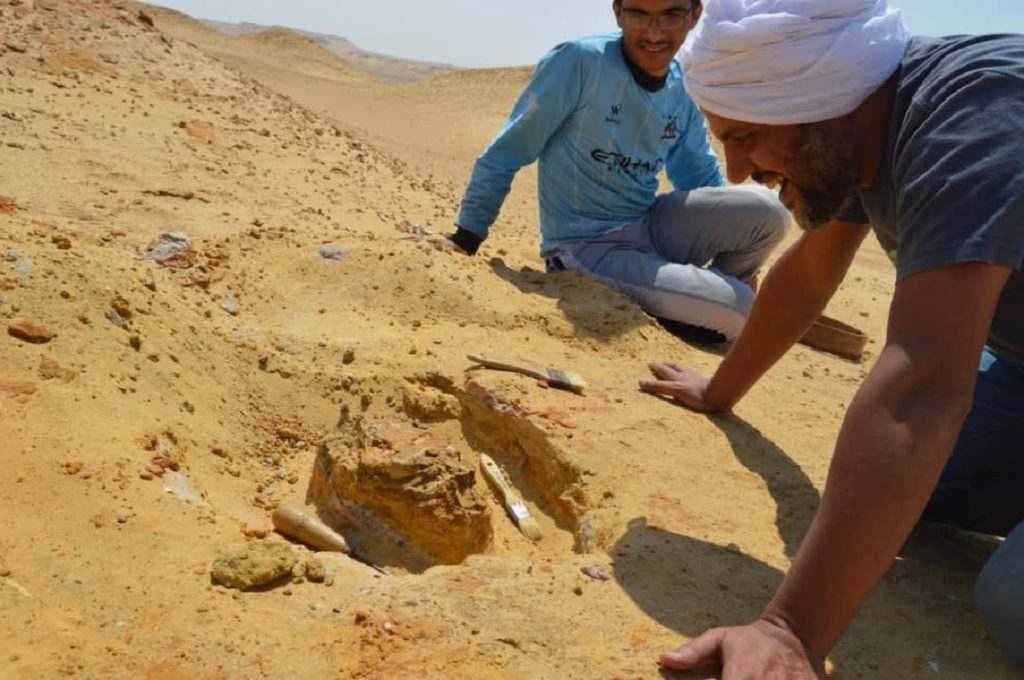 Bastetodon: the Discovery of a 30-Million-Year-Old Predator in Fayoum Discovery of Bastetodon in Fayoum