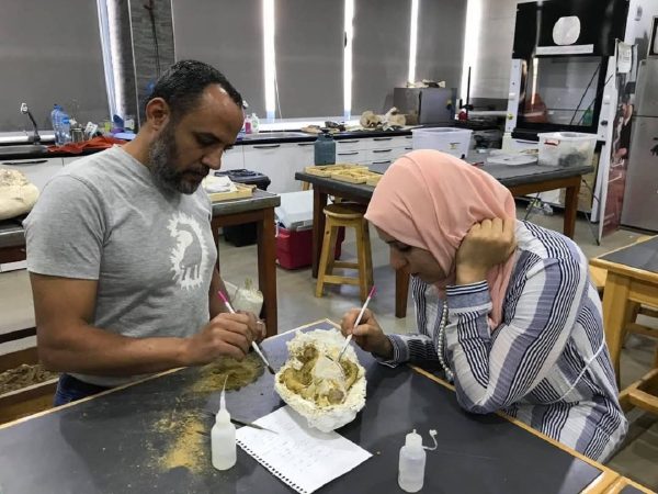 Discovery of Bastetodon in Fayoum