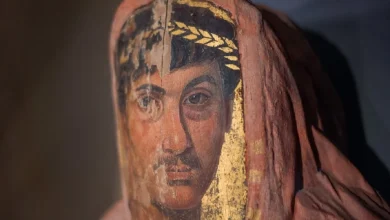A painting from the Fayoum portraits... Image is a Creative Commons