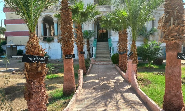 Al- Khwaja Toubia Palace. Photo by Asmaa Elsharkawy