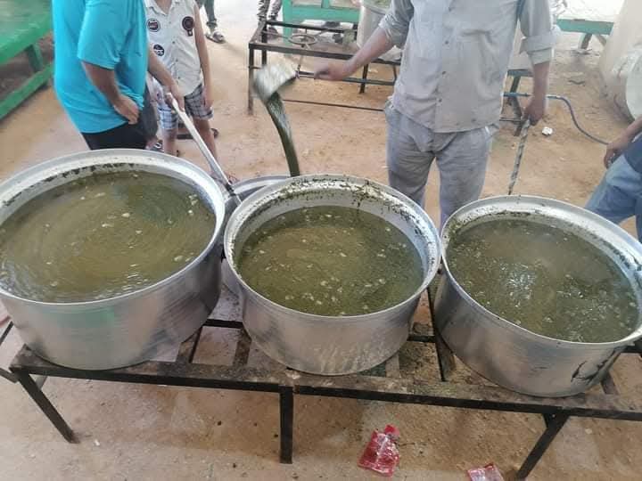 Dried mouloukhiya ... Photo by Abu al-Hasan Abd al-Sattar