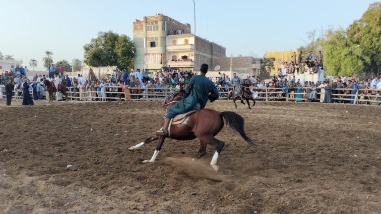 From the activities of Marma'