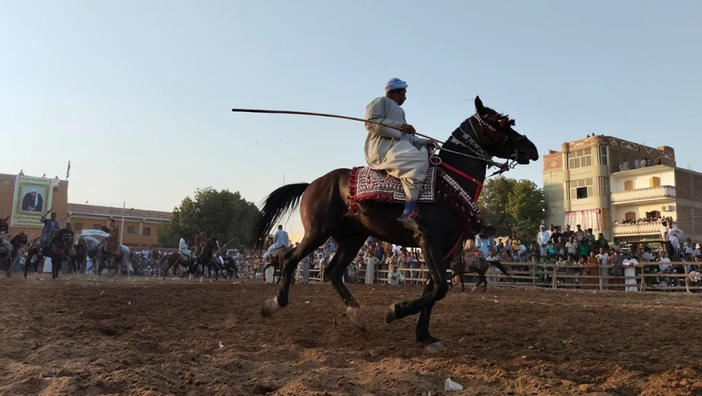 Marmah in the Prophets birthday celebrations in the village of Manshaat Al Amari Photo Abu Al Hassan Abdulstar