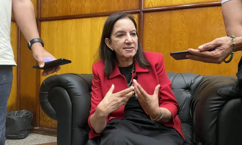 Dr. Nahla Imam consultant to the Ministry of Culture for Intangible Heritage.. Photo by Mohamed Awad