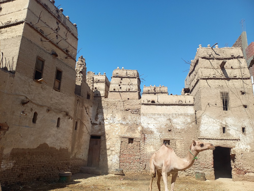 The pigeon towers of Al-Khatara... Photo.. Asmaa Al-Sharkawy