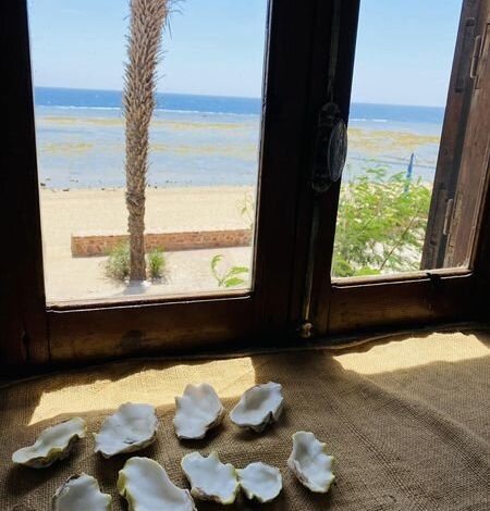 A window in Tawfiq's house overlooking the sea... Archive photo