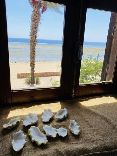 A window in Tawfiq's house overlooking the sea... Archive photo