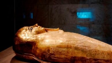 The golden coffin of Ankh, recovered by Egypt