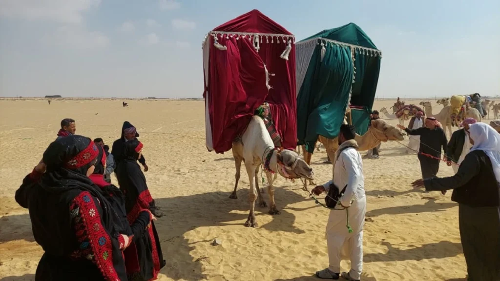 Bedouin Wedding Traditions in Egypt: The Ancient Howdah Camel Ceremony howdahmain