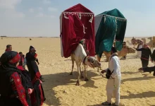 The Howdah. Photo by Hadeer Mahmoud