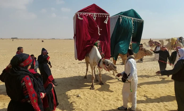 The Howdah. Photo by Hadeer Mahmoud