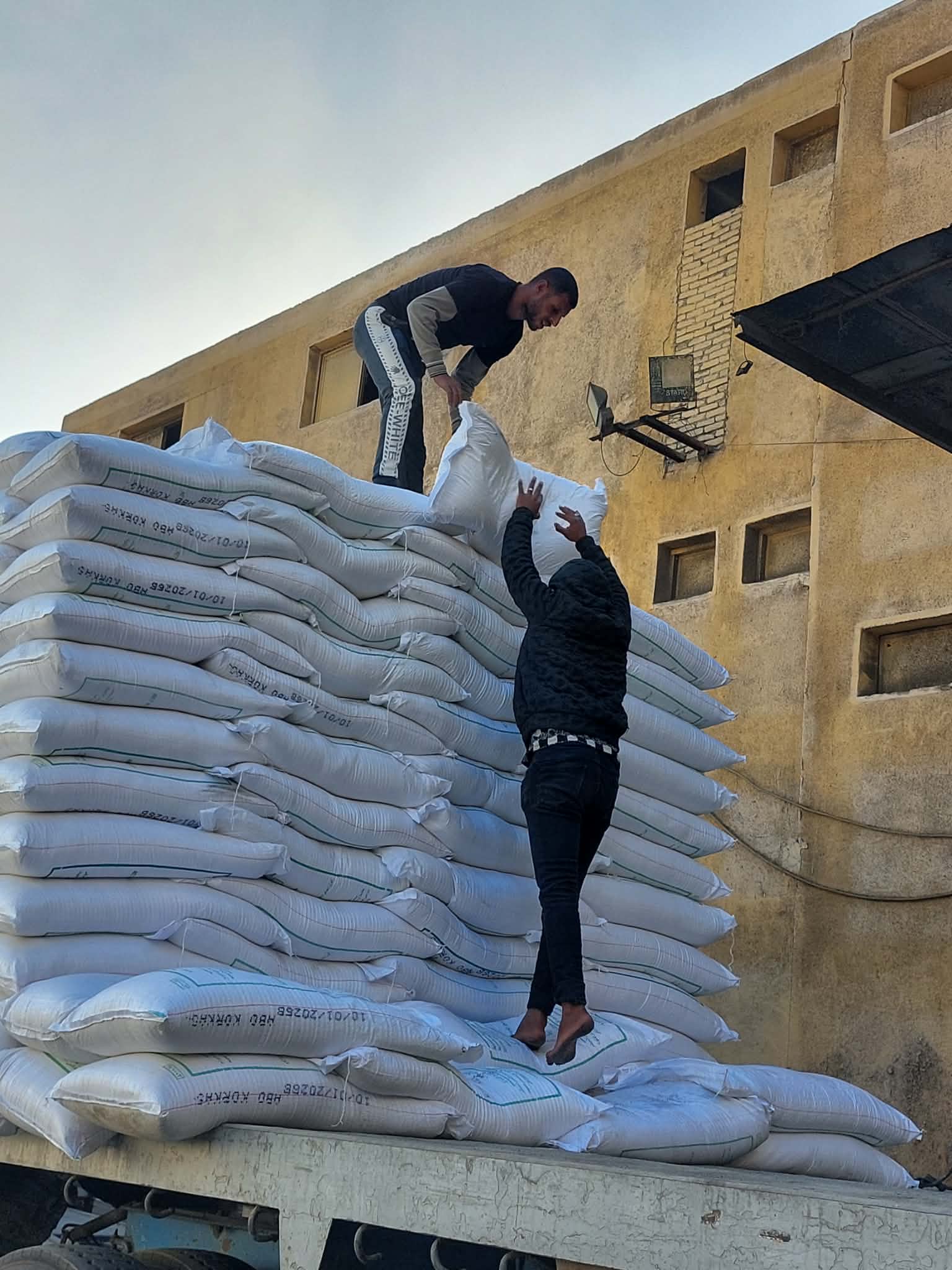 Sugar packaging... Photo by Asmaa Muntasir