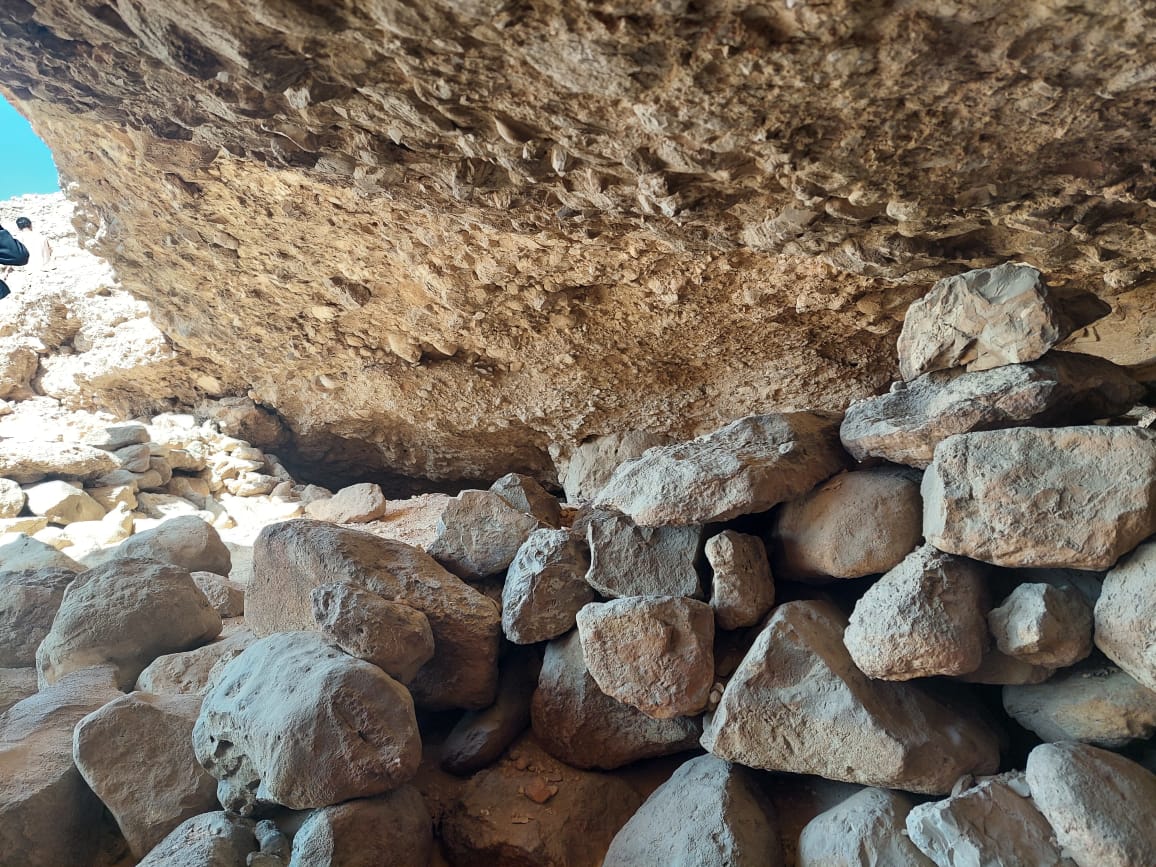 44fdf86f f2c3 4de7 88f3 0ed511700a8d