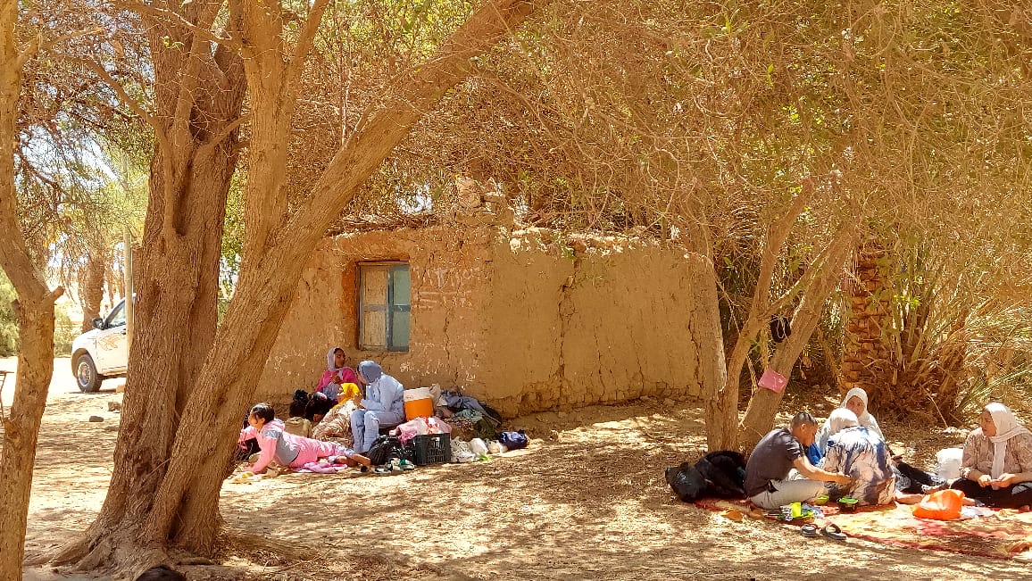 IMG 20260413 WA00011