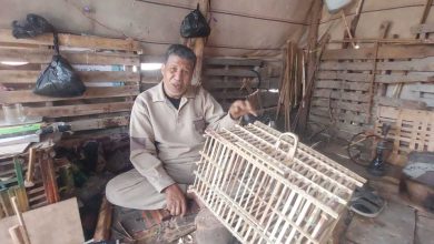 The Art of Crafting Palm Frond Crates in Kafr Al-Battikh. - Photo: Helmy Yassin
