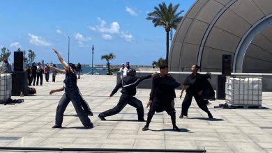 The Contemporary Dance Night Festival in Alexandria - Photo: Merna Gohar