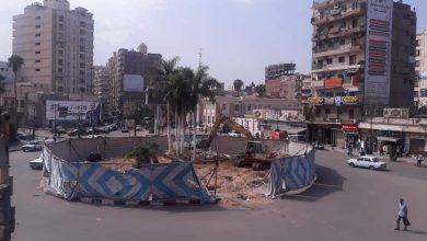 The Hour Square in Damanhour during the removal of the royal palms. - Photo: Dr. Zuhdi Al-Shami