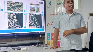 An evening dedicated to the digital documentation of trees in Assiut. - Photo: Jasmine Mehna