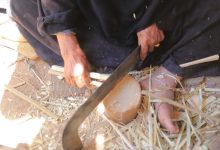 Hajah Mahasen during the crafting of palm-frond crates - Photo: Abou El-Hassan Abdel-Sattar