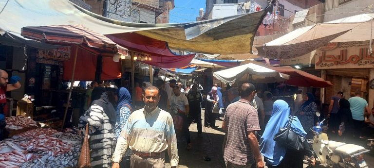 ImageToStl com سوقالسمكتصويرحلمىيس 768x346