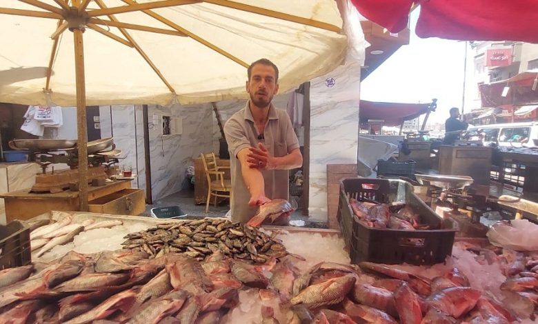 The coveted catch arriving at the fish market. - Photo: Helmy Yassin