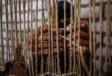 The Craft of Adawi Kilim in Asyut - Photo: Ahmed Mostafa