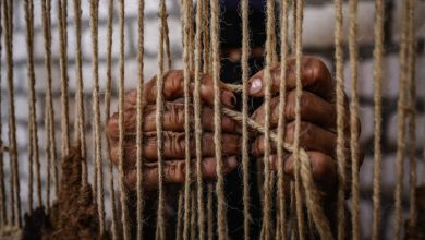 The Craft of Adawi Kilim in Asyut - Photo: Ahmed Mostafa