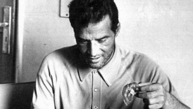 naguib