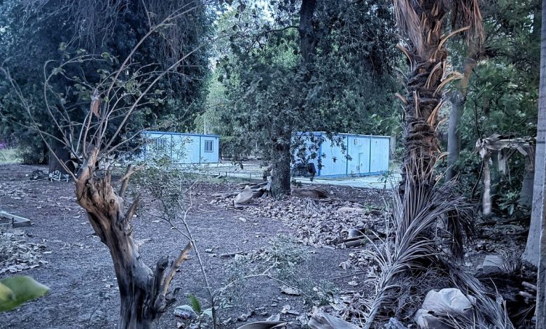Development workers mobilize inside El-Zohreya Garden - Photo: Shehab Tarek
