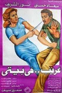 افيش فيلم غريب فى بيتى